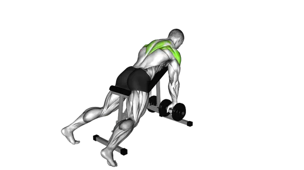 Dumbbell Incline Bench Row