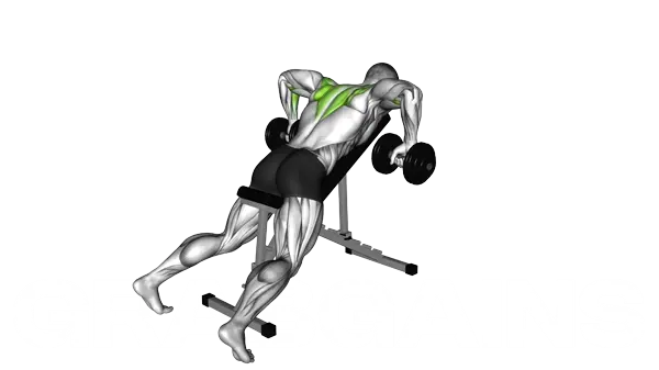 Dumbbell Incline Bench Row — Step 2