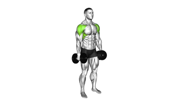 Dumbbell Lateral Raise