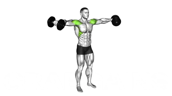 Dumbbell Lateral Raise — Step 2