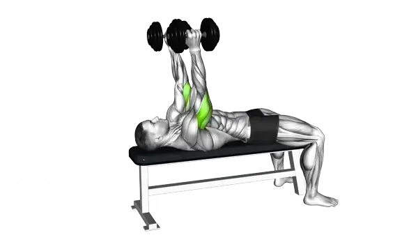 Dumbbell Lying Triceps Extension — Step 2