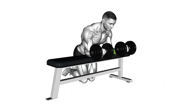 Reverse Grip Dumbbell Wrist Curl (Over Bench) — Schritt 2