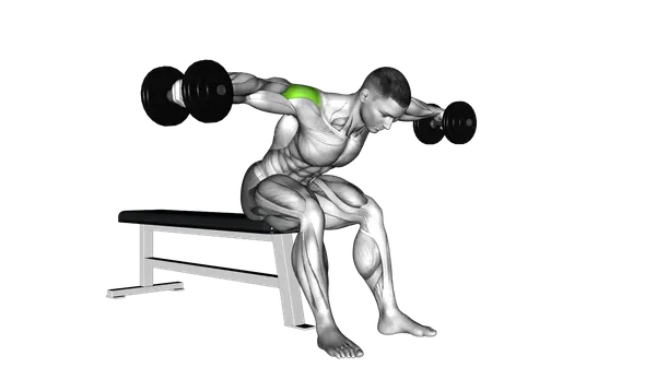 Dumbbell Rear Fly