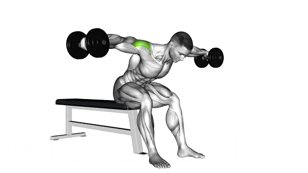 Dumbbell Rear Fly — Step 2