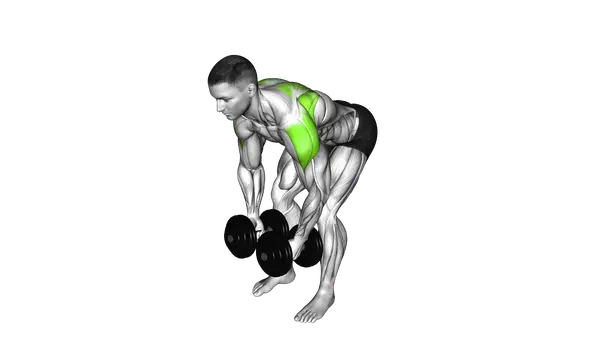 Rear Lateral Raise