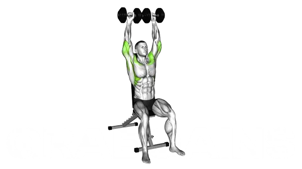 Seated Dumbbell Shoulder Press — Step 2