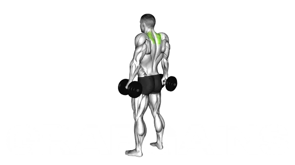 Dumbbell Shrug — Step 2