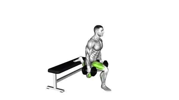 Dumbbell Single Leg Split Squat — Step 2