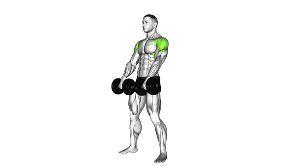 Dumbbell Standing Alternate Raise