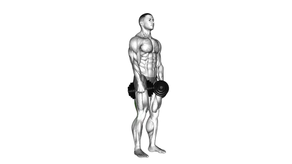 Dumbbell Stiff Leg Deadlift