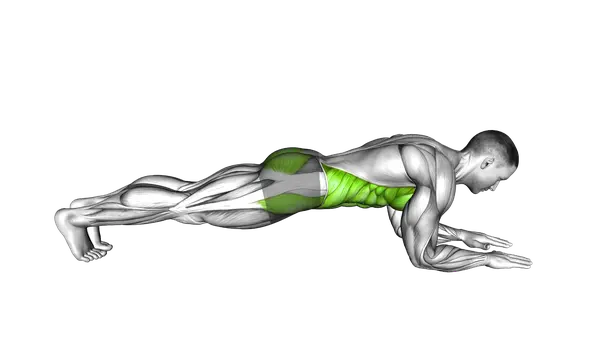Front Elbow Plank