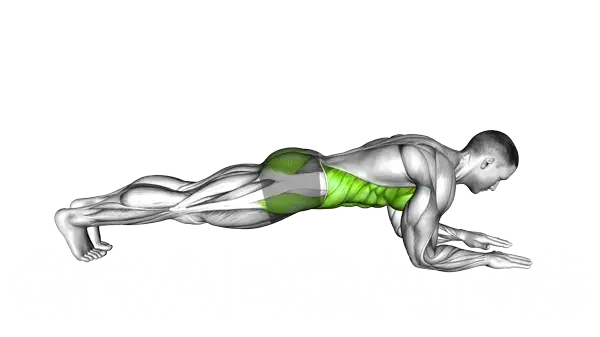 Front Elbow Plank — Step 2