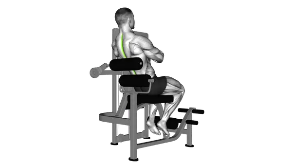 Lever Back Extension