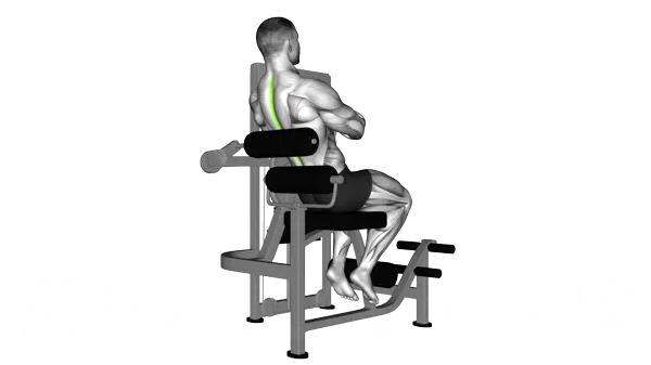 Lever Back Extension — Step 2