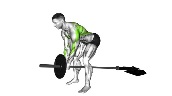 Lever Bent Over Row (Plate Loaded)