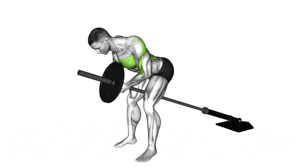 Lever Bent Over Row (Plate Loaded) — Schritt 2