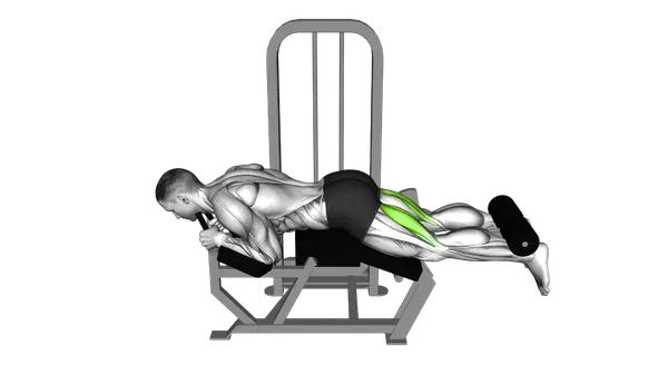 Lever Lying Leg Curl