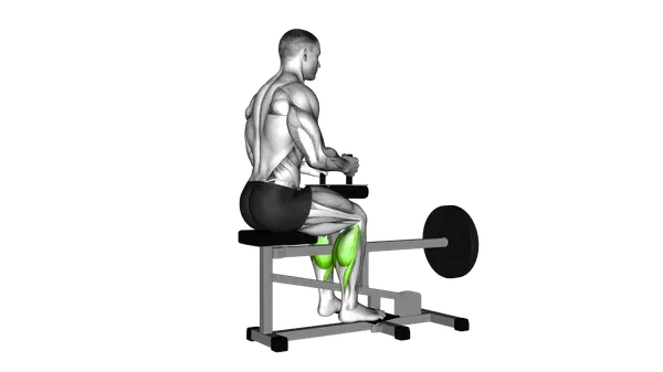 Lever Seated Calf Raise (Plate Loaded)