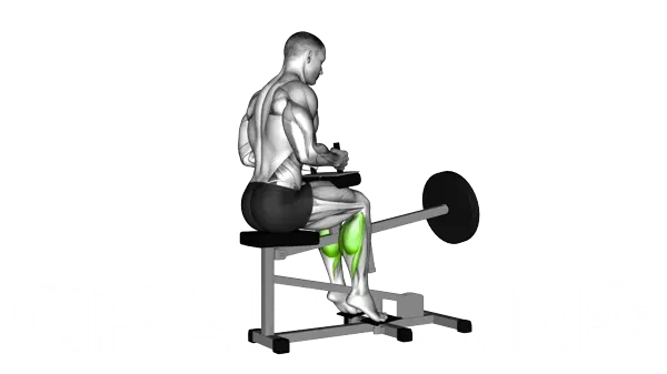Lever Seated Calf Raise (Plate Loaded) — Step 2