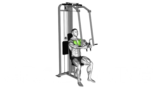 Lever Seated Fly — Step 2