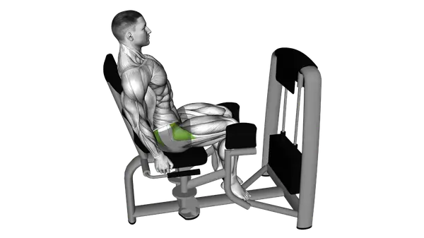 Lever Seated Hip Abduction