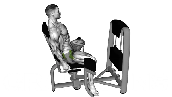 Lever Seated Hip Abduction — Schritt 2