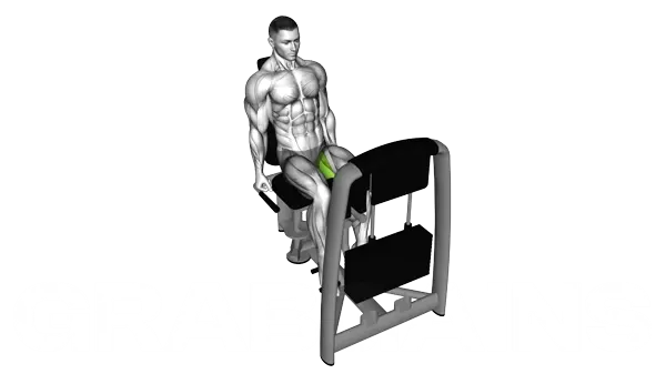 Lever Seated Hip Adduction — Step 2