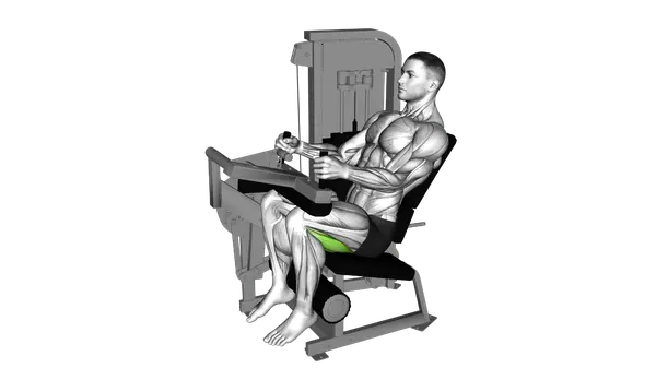 Lever Seated Leg Curl