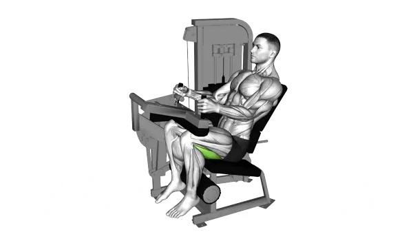 Lever Seated Leg Curl — Step 2