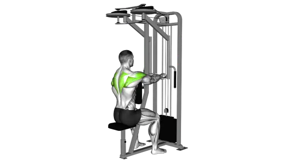 Lever Seated Reverse Fly