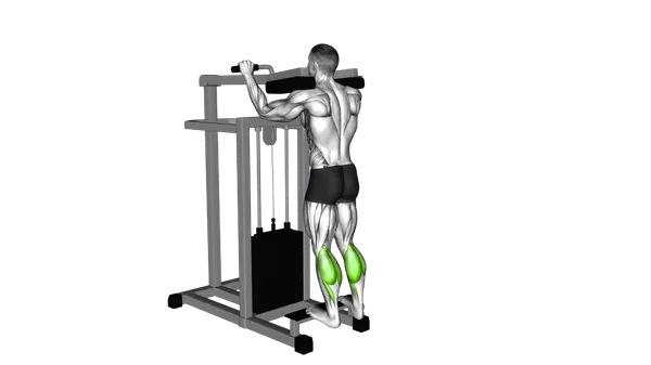 Lever Standing Calf Raise