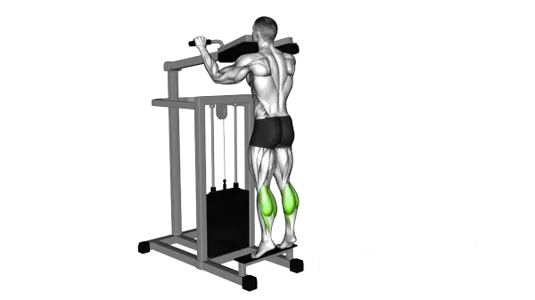 Lever Standing Calf Raise — Step 2