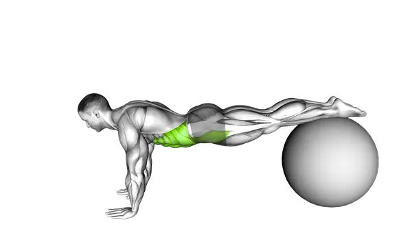 Pull In (On Stability Ball)