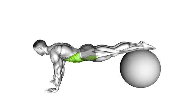 Pull In (On Stability Ball) — Step 2