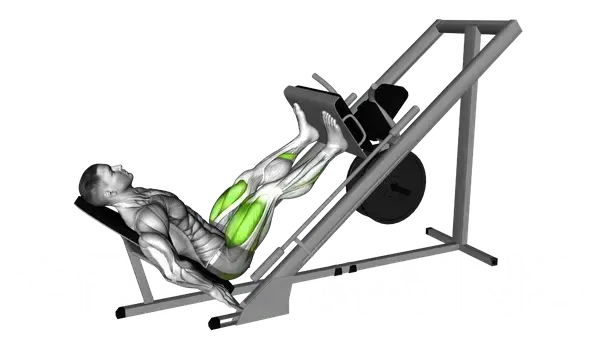 Sled 45 Degrees Leg Press