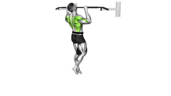 Weighted Pull Up
