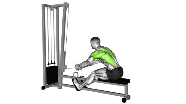 Seated Cable Row