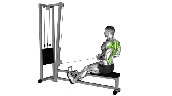 Seated Cable Row — Step 2