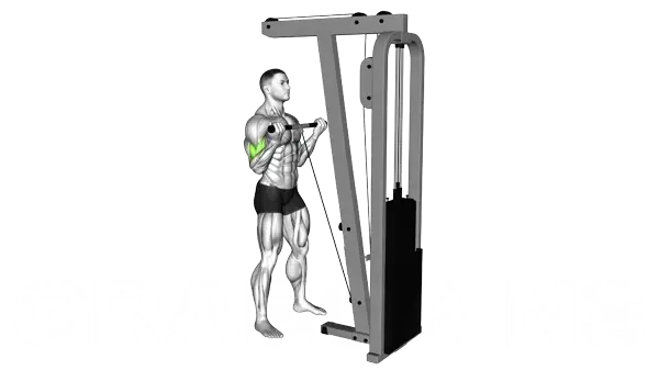 Cable Curl — Step 2