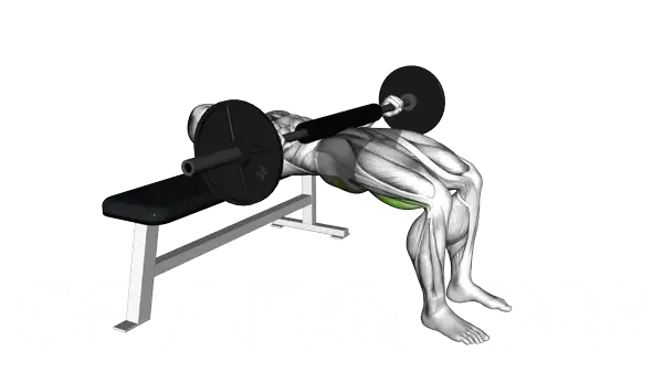 Barbell Hip Thrust — Step 2