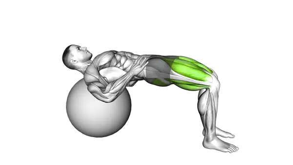 Lying Hip Lift (On Stability Ball)