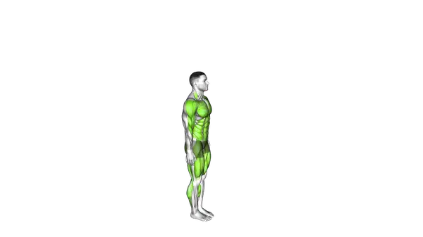 Burpee