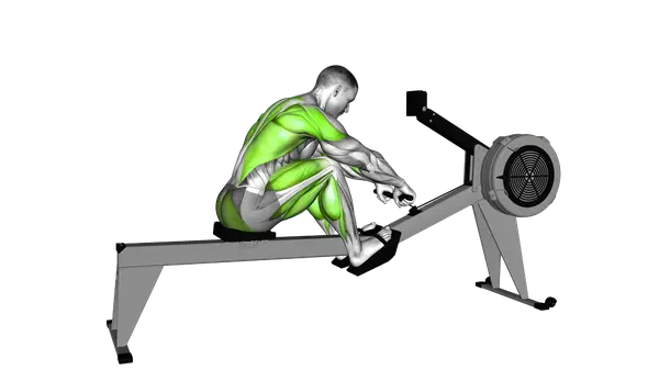 Rowing (Rowing Machine)