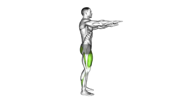 Bodyweight Squat