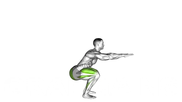 Bodyweight Squat — Step 2