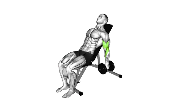 Dumbbell Incline Alternate Hammer Curl