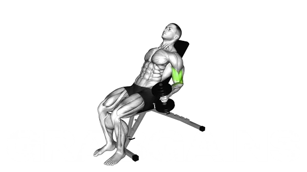 Dumbbell Incline Alternate Hammer Curl — Step 2