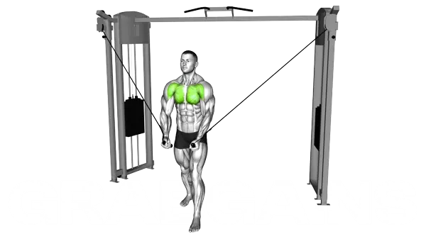 Cable Standing Up Straight Crossovers — Step 2