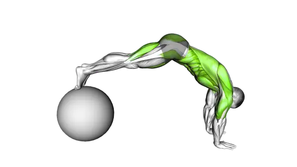 Stability Ball Pike Push-Up