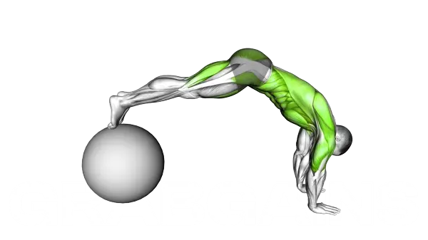 Stability Ball Pike Push-Up — Step 2